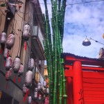 gatufest8